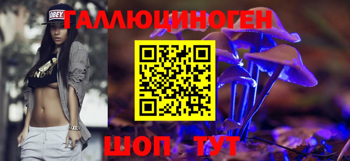 Можайск  Галлюциногенные грибы Cubensis  наркота  Вход с VPN 